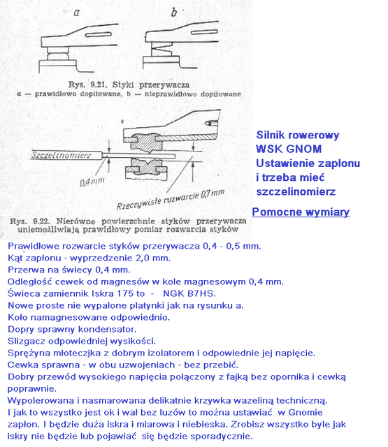 48729-rys11