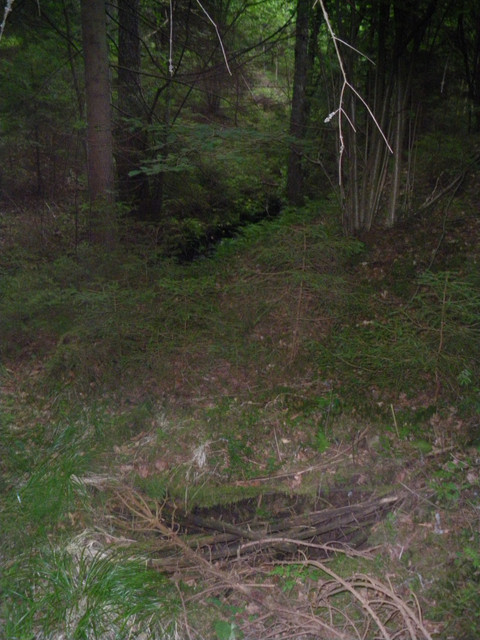 IMGP0252
