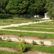 IMG-1955