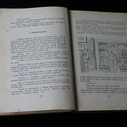 IMG-5820