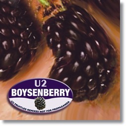 cover-6.jpg
