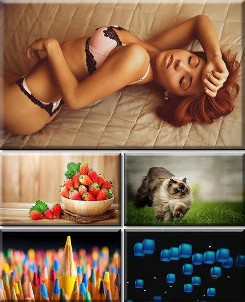 Computer Desktop Wallpapers Collection. Part 2945