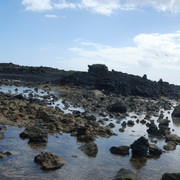 DSCF8670