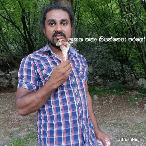 animation.gif