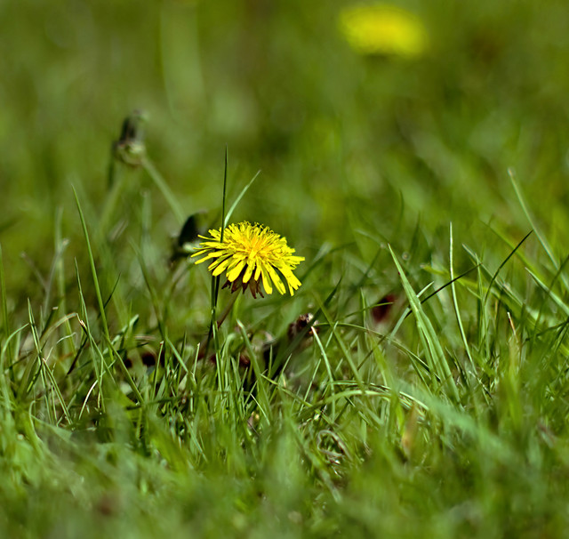 IMGP3289.jpg