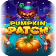 Pumpkin-Patch