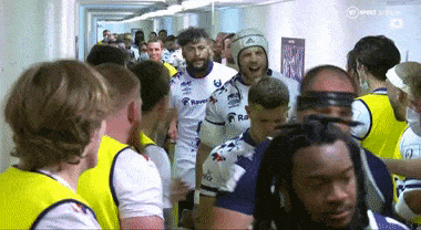 https://i.ibb.co/tZcf9h6/bears.gif