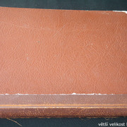 IMG-3105