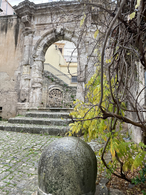 IMG-8771