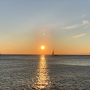 IMG-0784