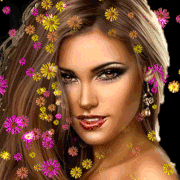 13.gif