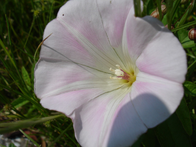 2010-06-05-063