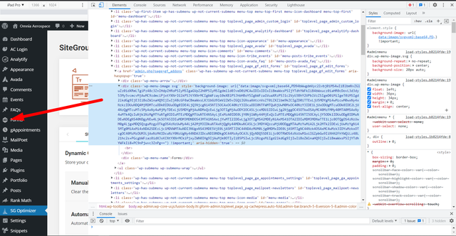 gravity-forms-base64-svg