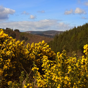 DSCF2273