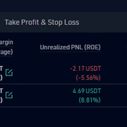 PROFIT-LOSS