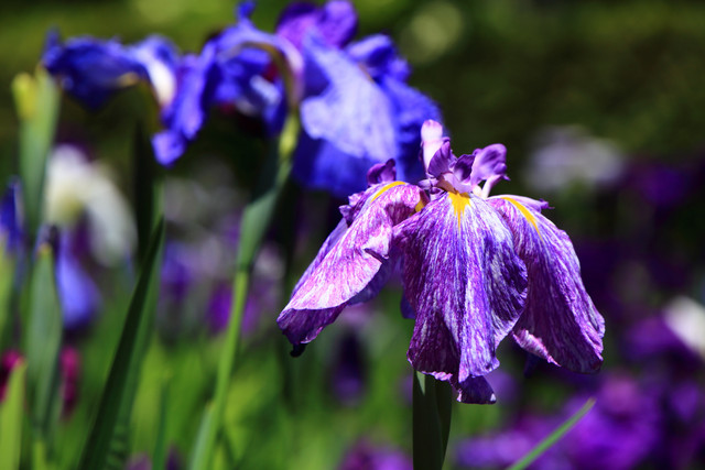 20150604214432f69