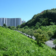 P1340050
