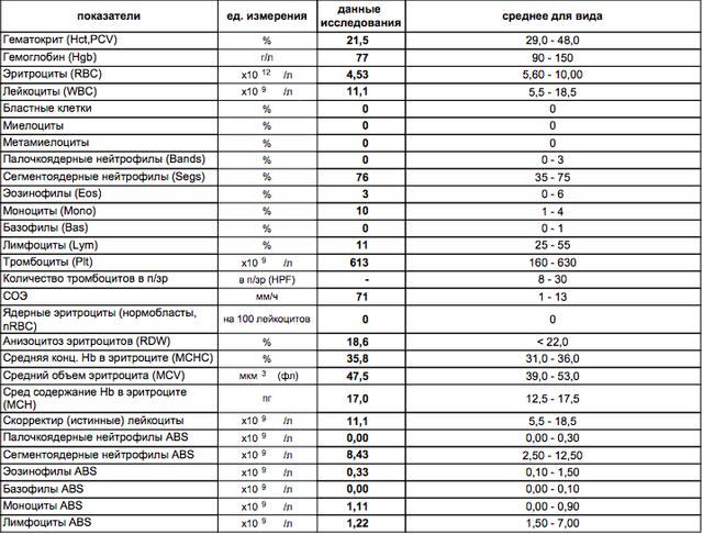 норма мочевины и креатинина в моче. креатинин у кошек при почечной недостаточности. креатинин у кошек при почечной недостаточности. норма креатинина у кошек. креатинин у кошек при почечной недостаточности.