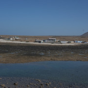 DSCF8341