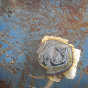 IMG-9722