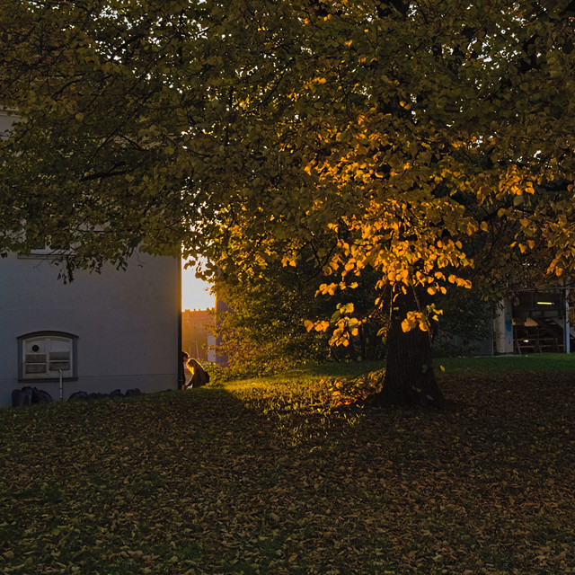 P1013633.jpg