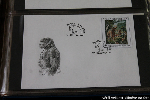 IMG-2707.jpg