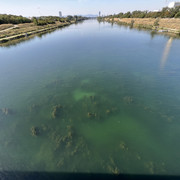 IMG-1720