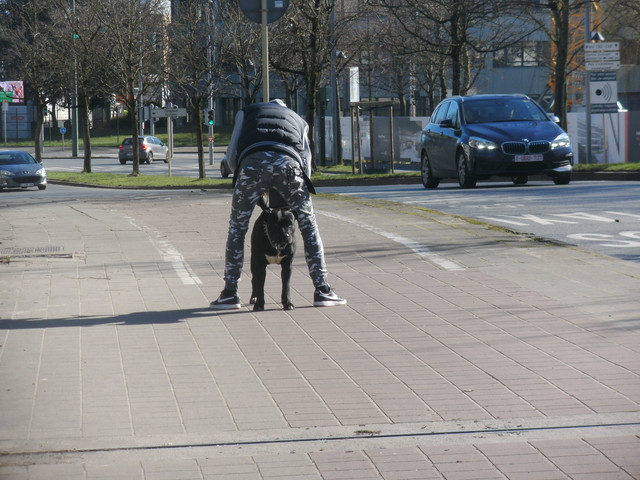 https://i.ibb.co/tcDHJpp/BILD0000033.jpg