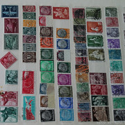 IMG-6956