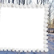 16345614