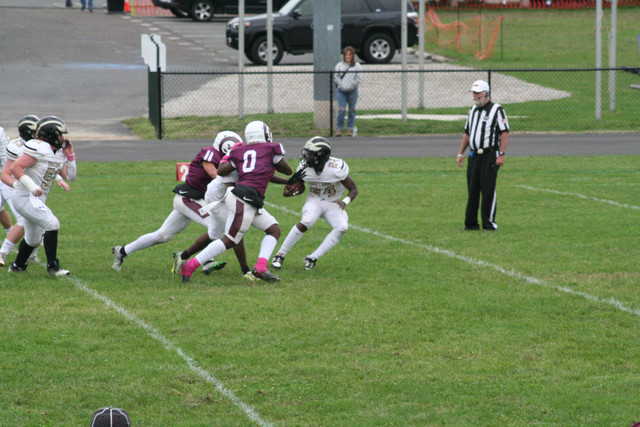 IMG-8136.jpg