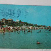 IMG-6427