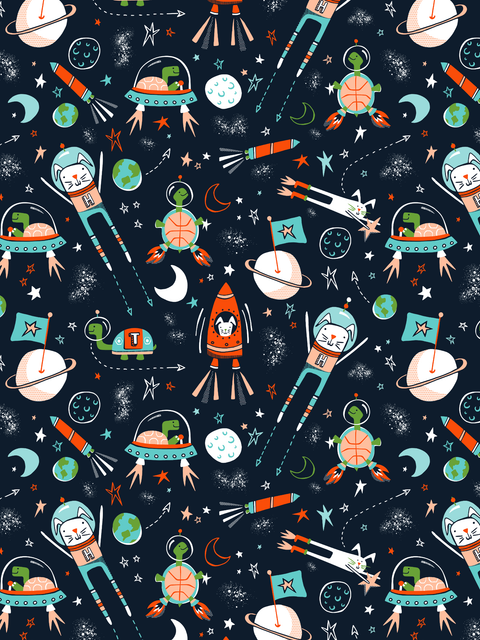 Space-Race
