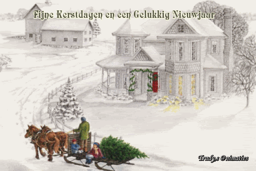 14.gif
