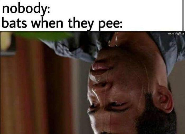 5e62892406df5