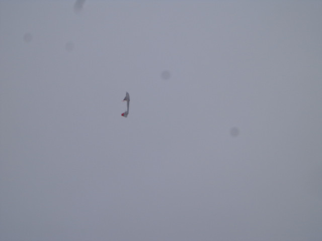 DSC03814.jpg