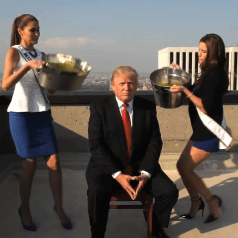 de4.gif
