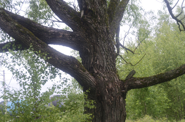 DSC8912-2.jpg