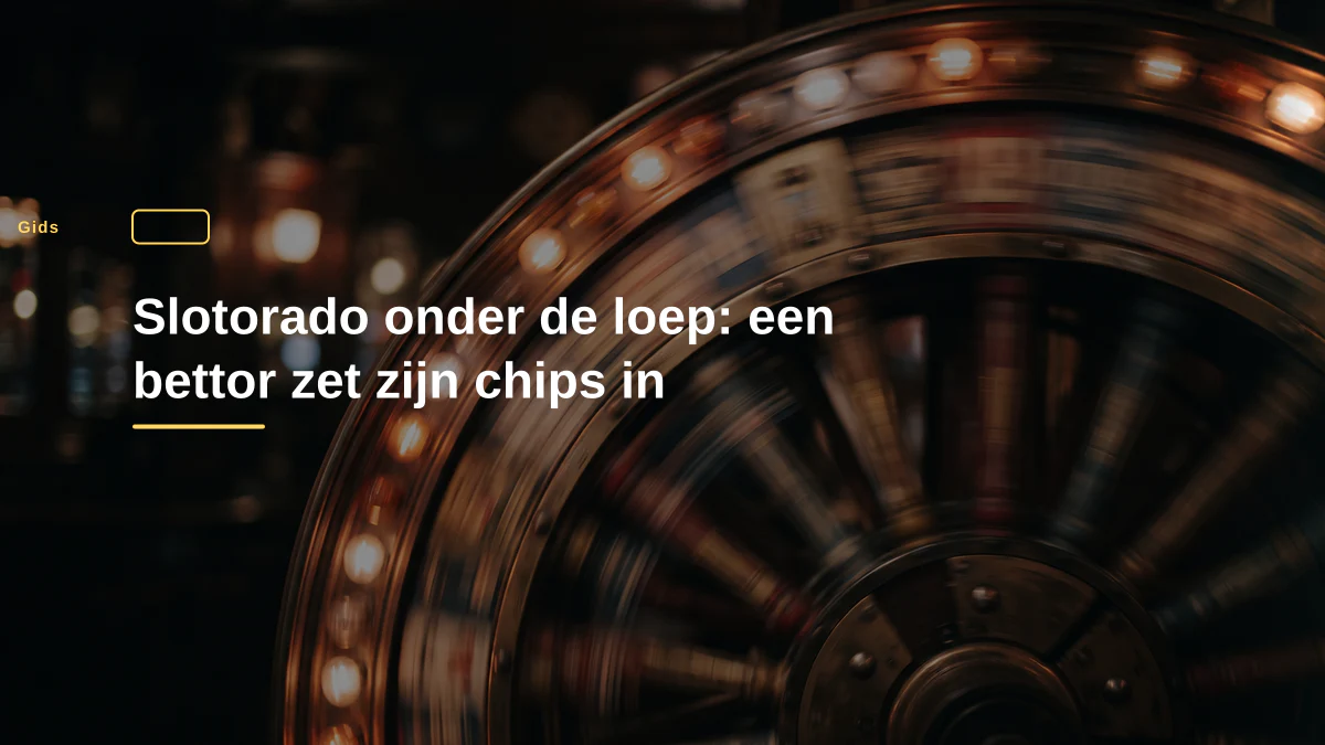 Slotorado onder de loep: een bettor zet zijn chips in