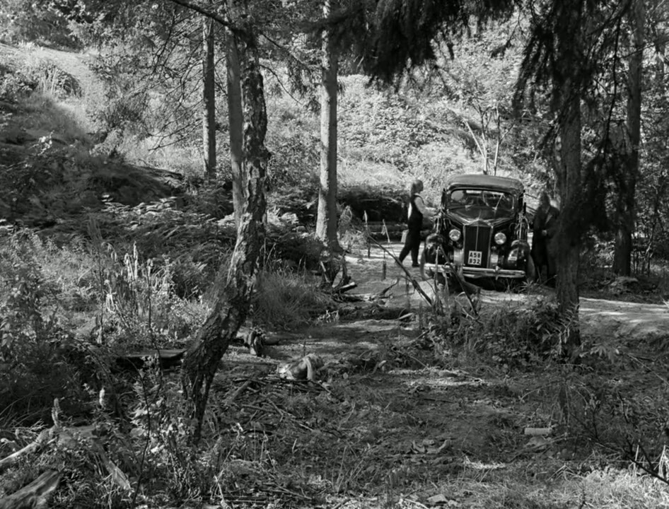 Wild Strawberries Screenshot