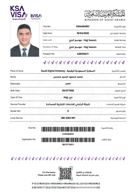 محمد محمود السيد محسن