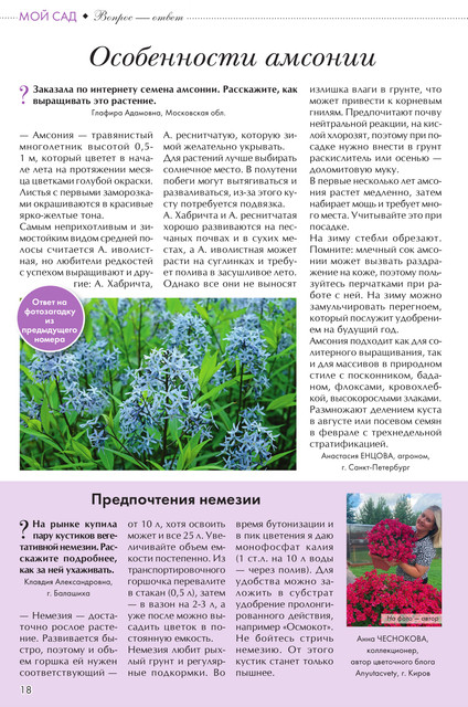 Цветок 2025 11 18.jpg