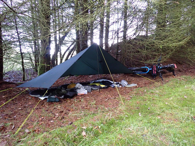 PA260339.jpg