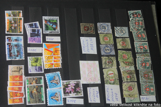 IMG-3649.jpg