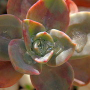 IMG-3067