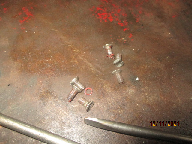 IMG-9239.jpg
