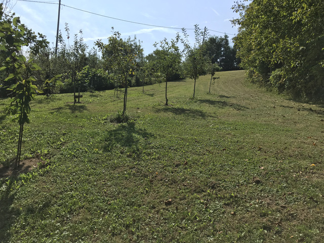 IMG-6092