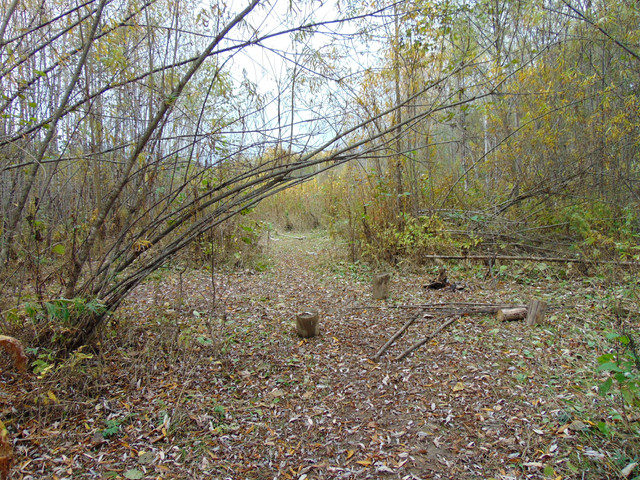 DSC04050