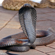 marrakesh-17