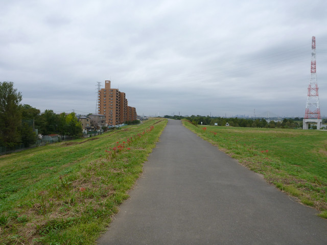 2012-10-02-03-162.jpg